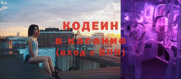 индика Вязьма
