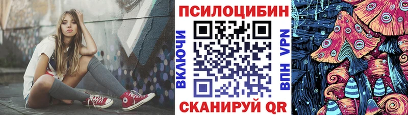 где купить наркоту  Ковылкино  Галлюциногенные грибы Psilocybe 